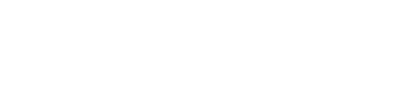 ViriFlow logo